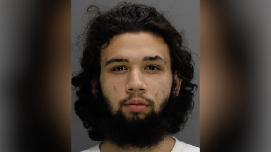 Man Connected to Deadly NY Stabbing Is Illegal Immigrant: County Executive