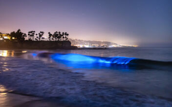 Bioluminescent Waters Light Up Southern California Coastline