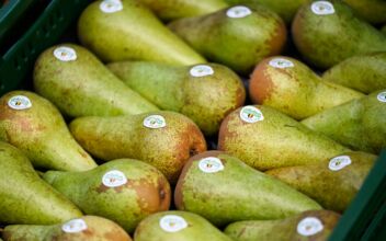 Pears: Nature’s Free-Radical Fighters for Cancer, Diabetes and Heart Disease