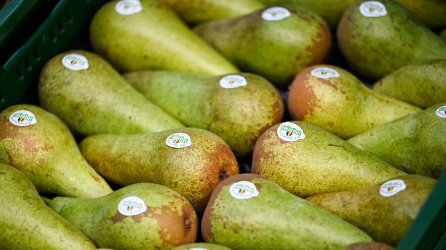Pears: Nature’s Free-Radical Fighters for Cancer, Diabetes and Heart Disease