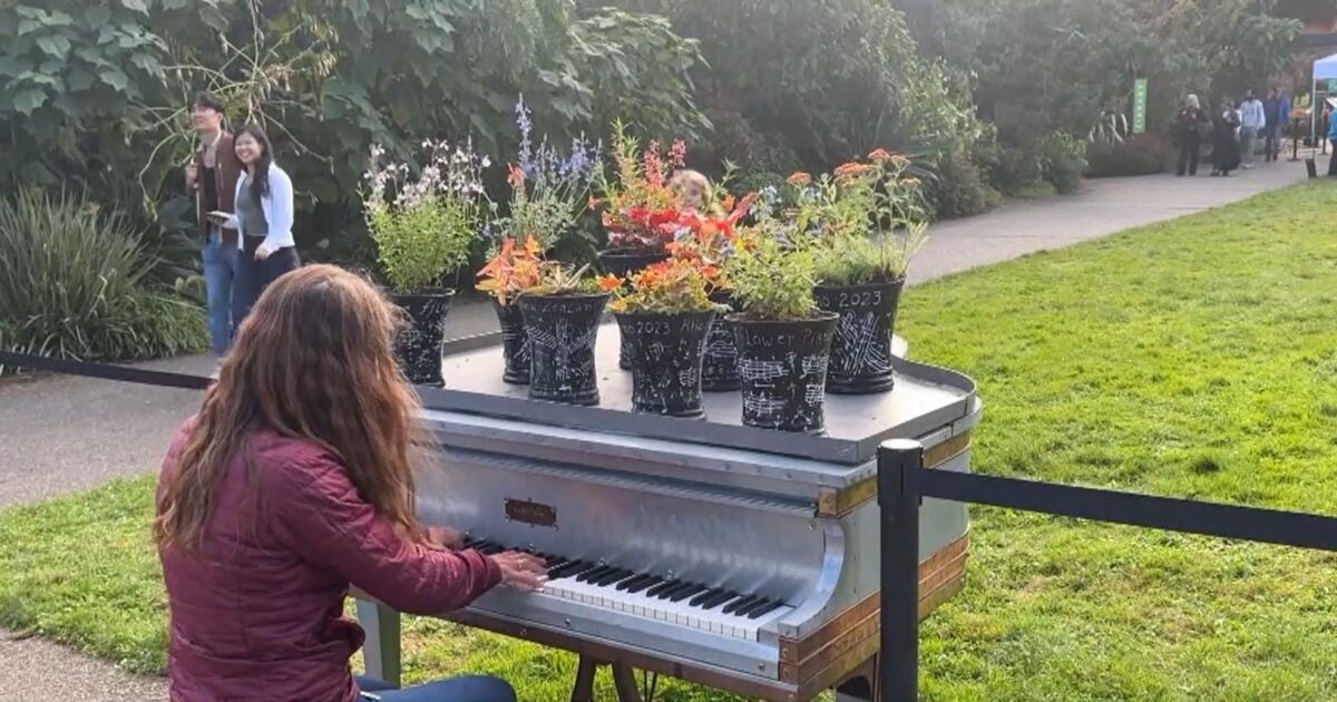 Flower Piano at San Francisco Botanical Garden NTD