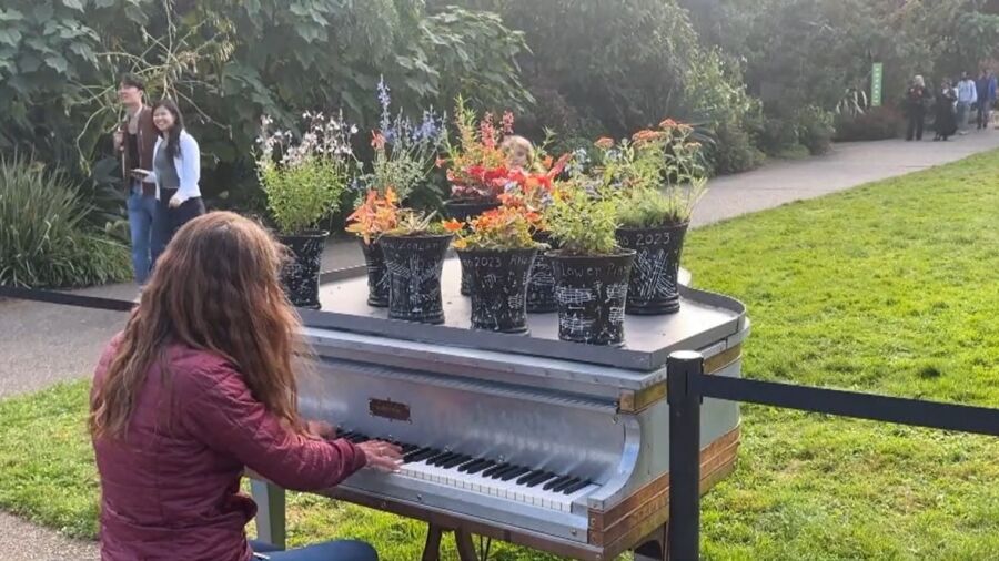 Flower Piano at San Francisco Botanical Garden