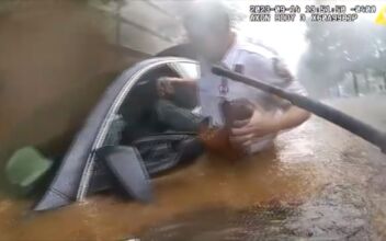 Dramatic Rescue: Police Help Driver Trapped in Deep Floodwaters