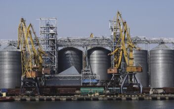 First 2 Cargo Ships Arrive in Ukrainian Port After Russia’s Exit From Grain Deal