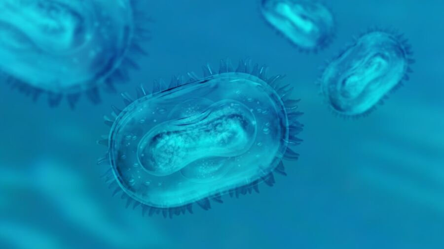 America Needs to 'Stay Alert' to Mpox: Expert