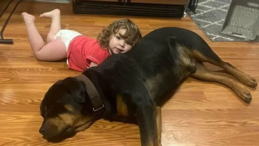 Missing Toddler Found Sleeping in Woods Using Her Dog as Pillow After Walking 3 Miles Barefoot