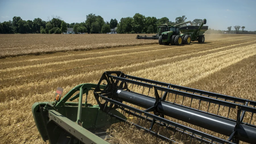 US Soybean Growers Need Diversified International and Stronger Domestic Market: Farmer