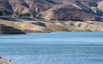 Algae Danger Rises On California Lake