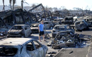 Cleanup From Maui Fires Complicated by Island’s Logistical Challenges, Cultural Significance
