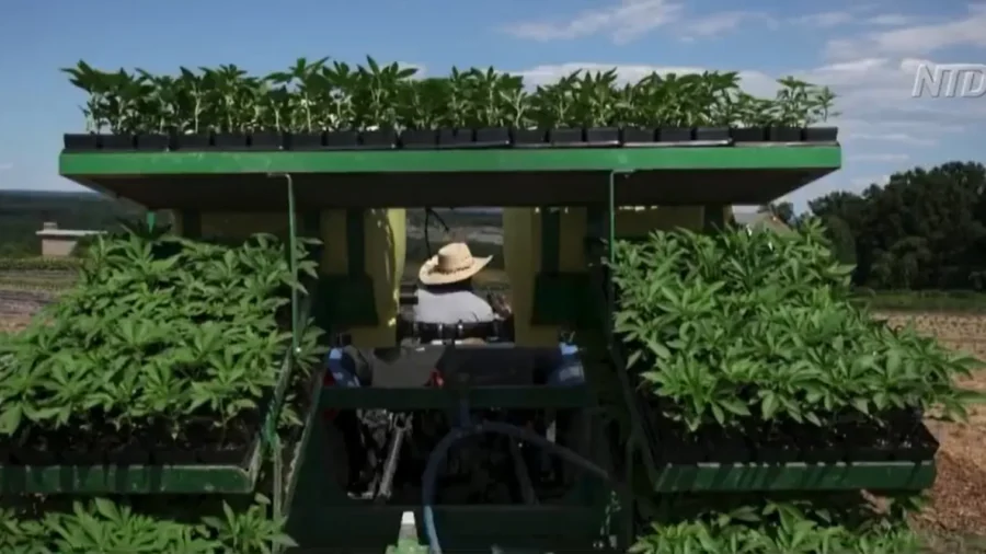 China Turning Oklahoma Land Into Drug Farms: Senator