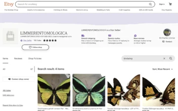 Rare Birdwing Butterflies Star in Federal Case Against NY Man Accused of Trafficking Insects