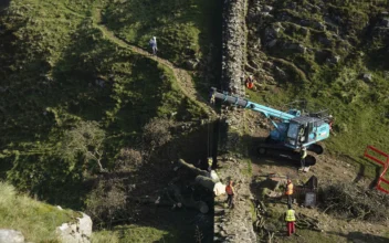 Crane Removes Famous Tree by Hadrian’s Wall in England That Was Cut Down in Act of Vandalism