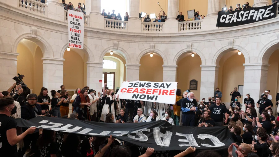 Protesters Calling for Israeli Cease-Fire Arrested After Entering Congress Building