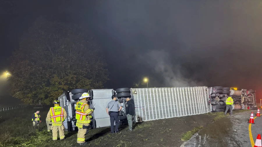 14 Cows Killed, Others Survive Truck Rollover Crash in Connecticut