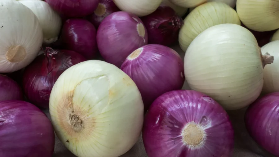 Multistate Salmonella Outbreak Prompts Recall of Bagged and Diced Onion Products