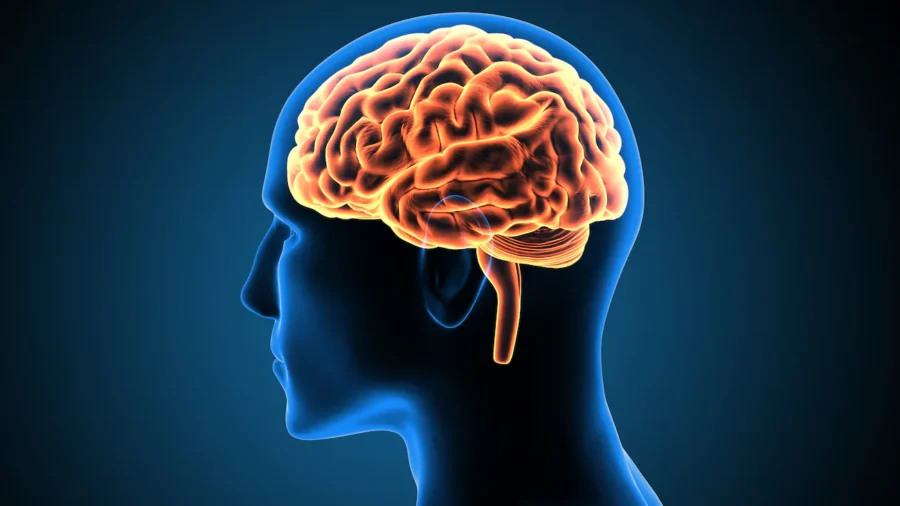5 Natural Ways to Strengthen Your Mind