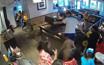 Deer Scatters Guests as it Charges Through Wisconsin Restaurant