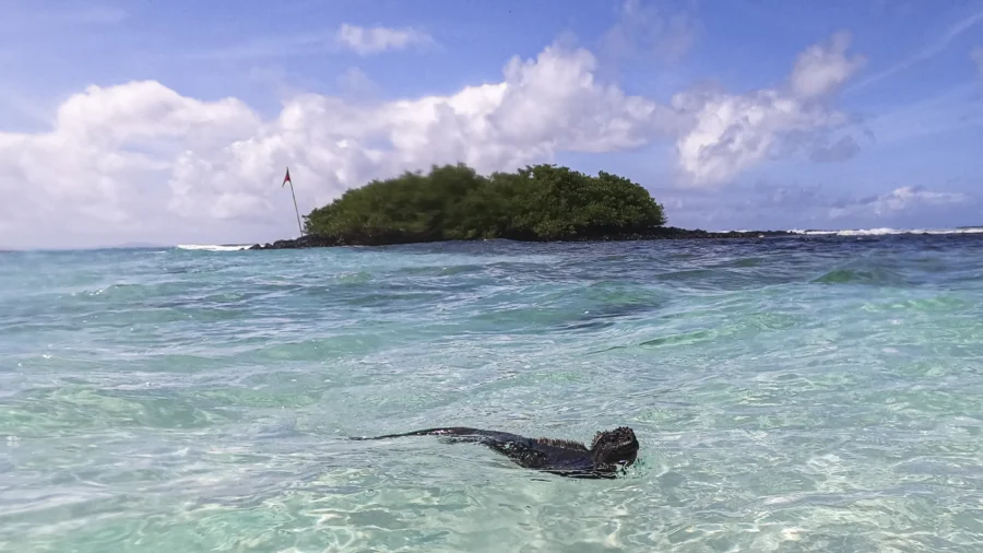 Galapagos Islands Draw Visitors Year-Round