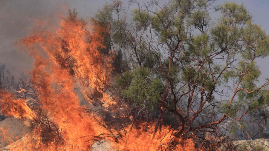 Santa Ana Winds Fuel Blaze Near Los Angeles