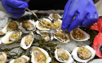 FDA Issues Warning Over Oysters Potentially Contaminated With Norovirus