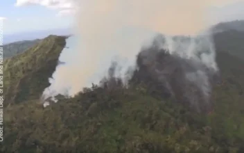 Video: Oahu Wildfire Moving Away From Towns, Officials Say