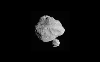 ‘Puzzling’ Discovery Spotted in New Images From NASA Mission’s Asteroid Flyby
