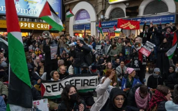 29 Arrested in Pro-Palestinian March in London