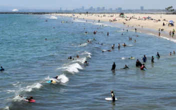 Aggressive Shark Activity in Southern California Beaches