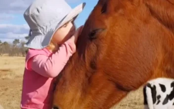 3-Year-Old Sings to Her Horses