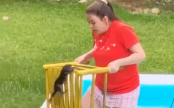 Girl’s Attempt at Helping Squirrel Goes Wrong!