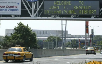 Plane Turns Back to JFK After Horse Escapes on Board