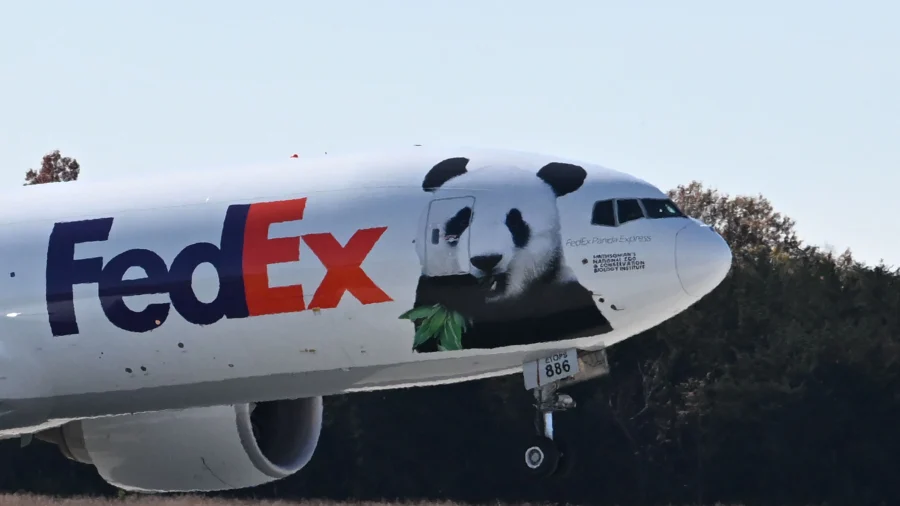 Beijing Hints That Pandas May Return to US