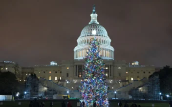 2023 Capitol Christmas Tree Arrives in Washington