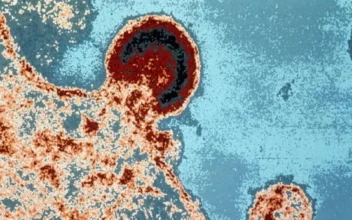 450 Patients at Massachusetts Hospital Possibly Exposed to Hepatitis and HIV