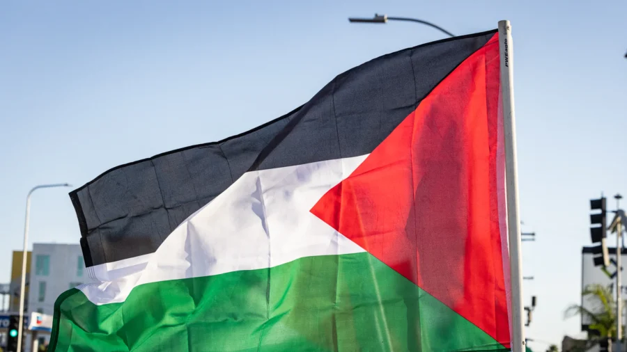 Pro-Palestinian Group BDS Movement Is a Repackaging of Anti-Jewish Boycotts: Law Professor