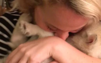 Man Proposes to His Girlfriend–With a Puppy