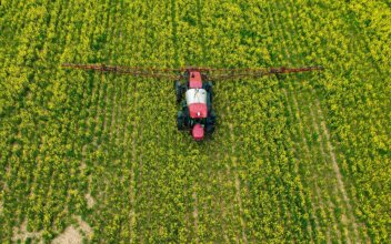 Use of Pesticides Found to Reduce Fertility in Farmers: Study