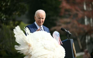 Biden Pardons the National Thanksgiving Turkey