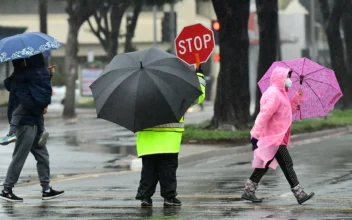 California Can Expect a Rainy Winter, El Niño Is Coming