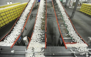 US Egg Producers Conspired to Fix Prices From 2004 to 2008, Federal Jury Rules