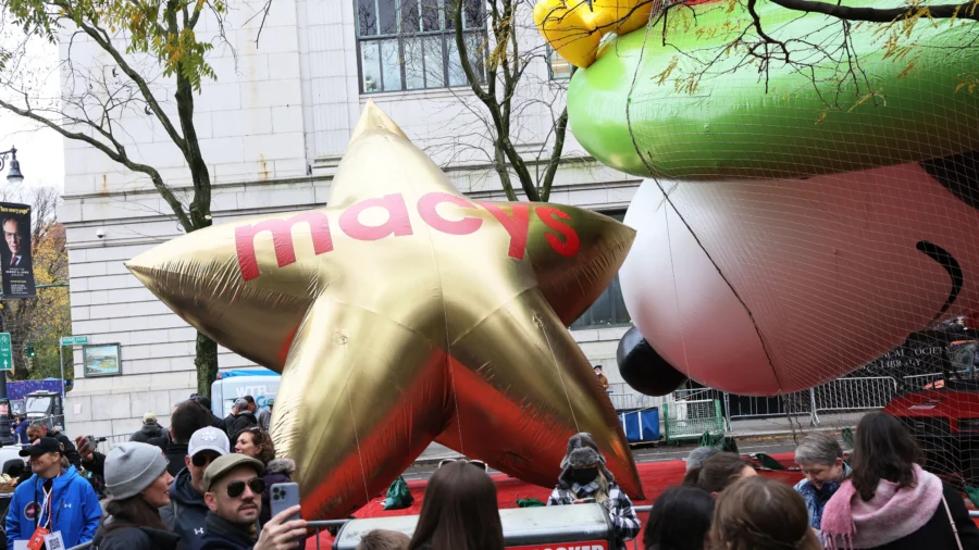 What Are You Thankful For? New Yorkers Say Puppies, Family–and Life Itself