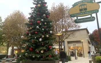 Locals Share Their Thoughts About Holiday Shopping in California Bay Area Amid Retail Theft