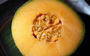 Cantaloupe Recall Expands as Salmonella Outbreak Spreads to 34 States