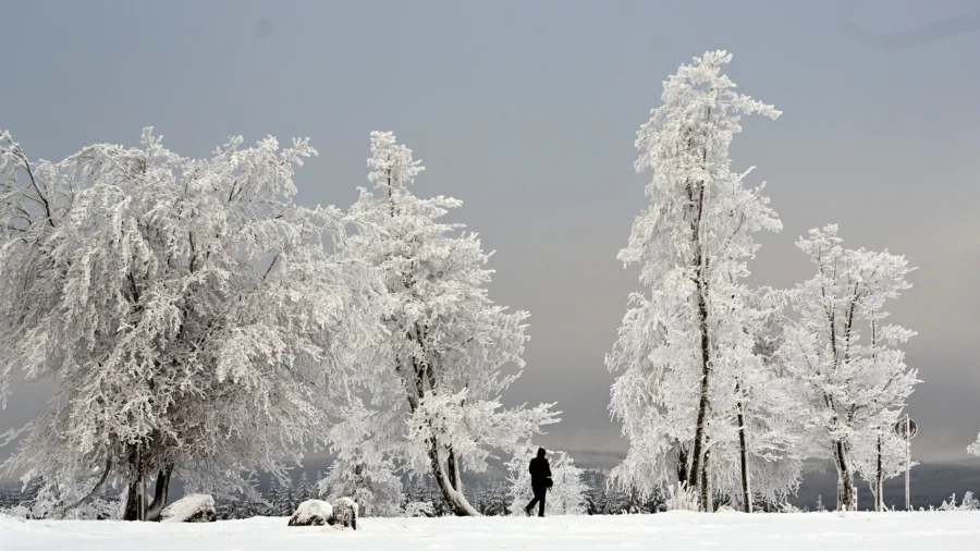 Winter Brings Seasonal Affective Disorder Into Focus