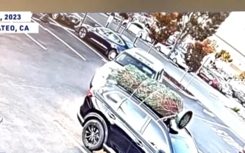 ‘Grinch’ Steals Family’s Christmas Tree