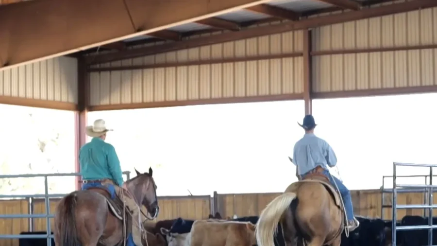 Teaching the Virtues It Takes to Be a Cowboy