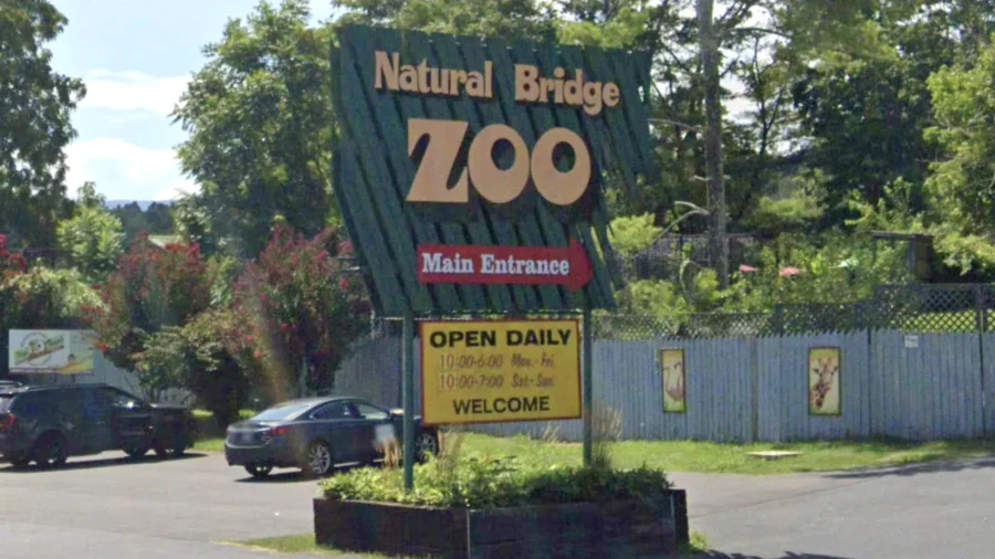 Dozens of Animals Taken From Virginia Roadside Zoo as Part of Investigation
