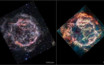 NASA’s Webb Telescope Captures Beautiful Image of Supernova