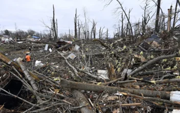 4-Month-Old Survived After Tennessee Tornado Tossed Him, Found by His Parents in a Downed Tree
