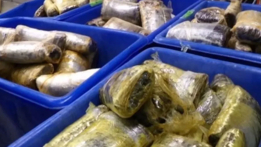 $10 Million Worth of Cocaine Disguised in Jalapeno Paste Shipments Seized in San Diego